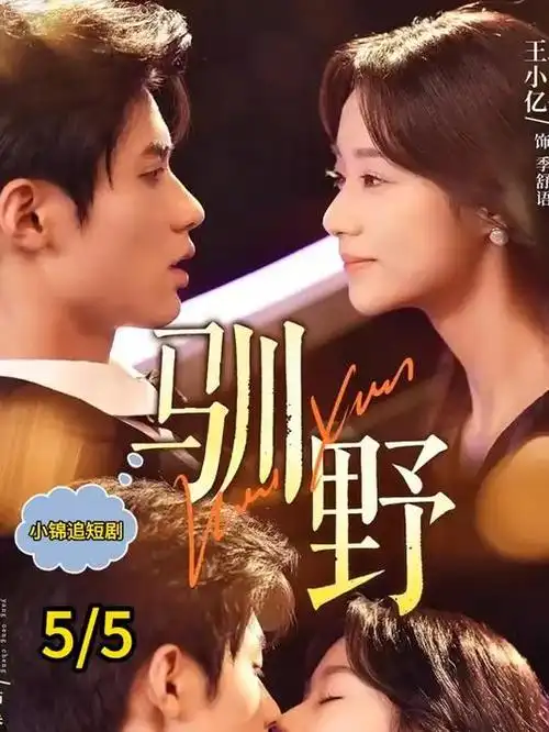 归途列车 电视剧全集免费观看